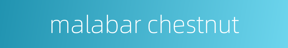 malabar chestnut的同义词
