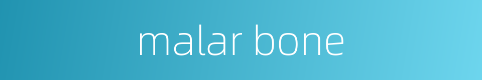 malar bone的同义词