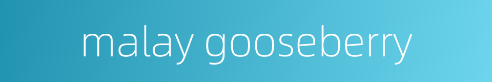 malay gooseberry的同义词