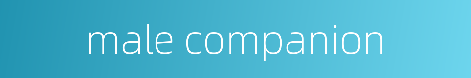 male companion的同义词