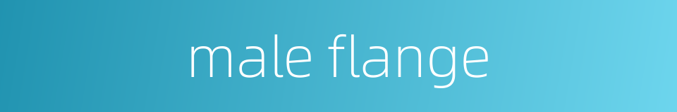 male flange的同义词