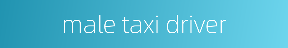 male taxi driver的同义词