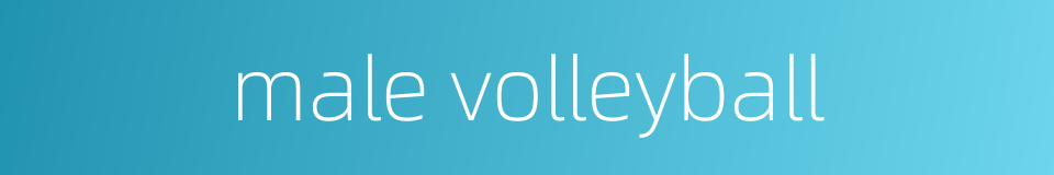 male volleyball的同义词