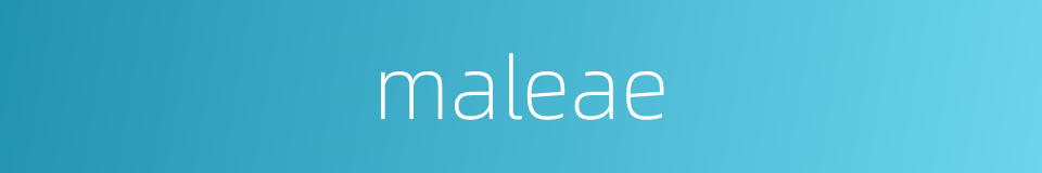 maleae的同义词
