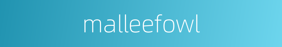 malleefowl的同义词