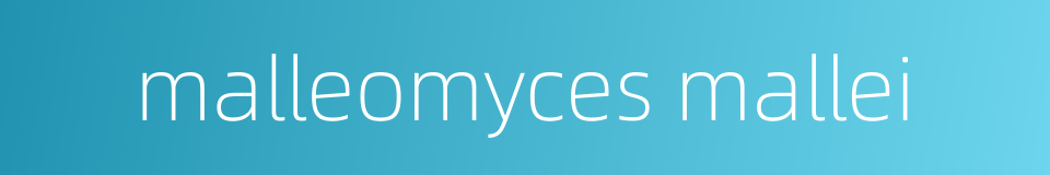 malleomyces mallei的同义词