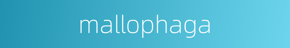 mallophaga的同义词