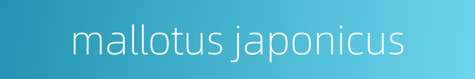 mallotus japonicus的同义词