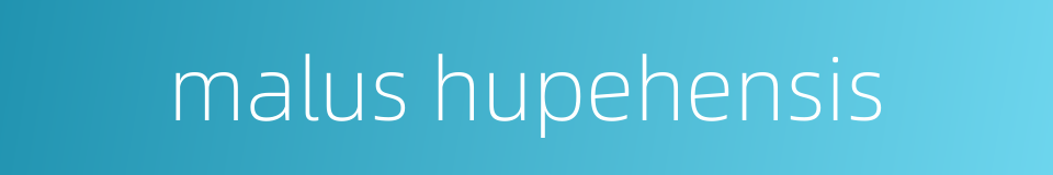 malus hupehensis的同义词