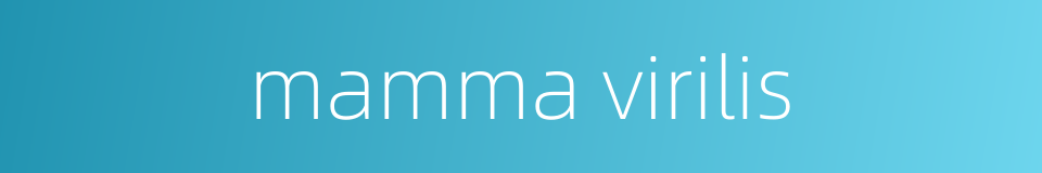 mamma virilis的同义词