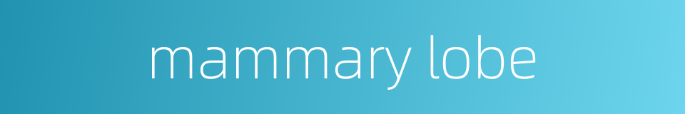 mammary lobe的同义词