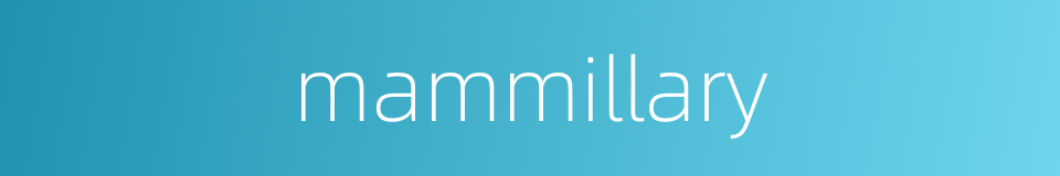 mammillary的同义词