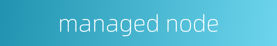 managed node的同义词
