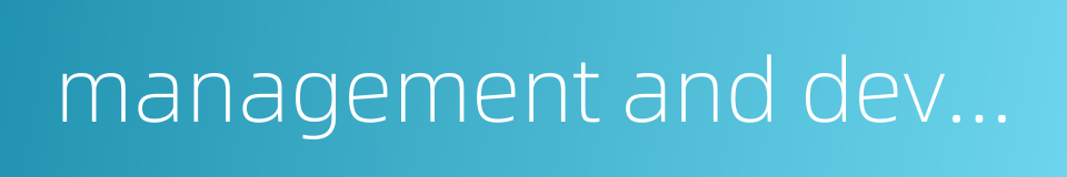 management and development strategy的同义词