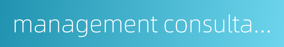 management consultant的同义词
