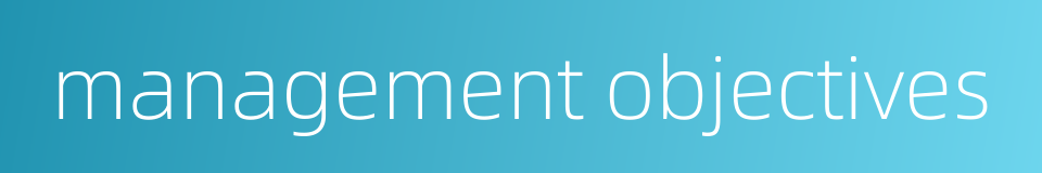 management objectives的同义词
