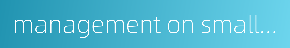 management on small scale的同义词