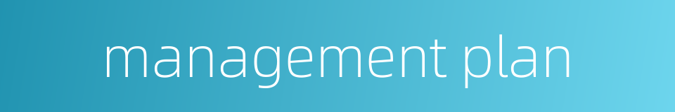 management plan的同义词