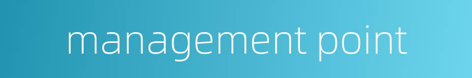 management point的同义词