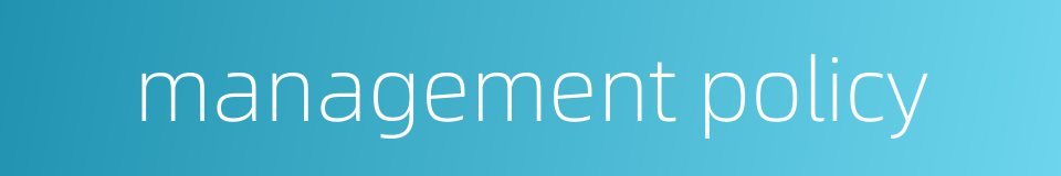 management policy的同义词
