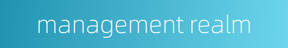 management realm的同义词