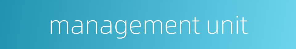 management unit的同义词
