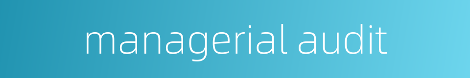managerial audit的同义词