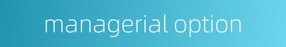 managerial option的同义词