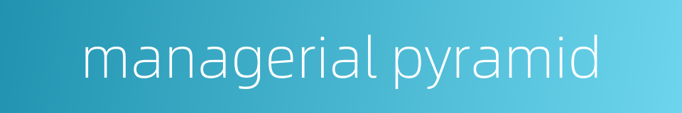 managerial pyramid的同义词