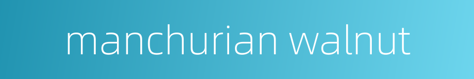 manchurian walnut的同义词