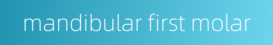 mandibular first molar的同义词