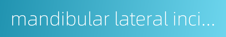 mandibular lateral incisor的同义词
