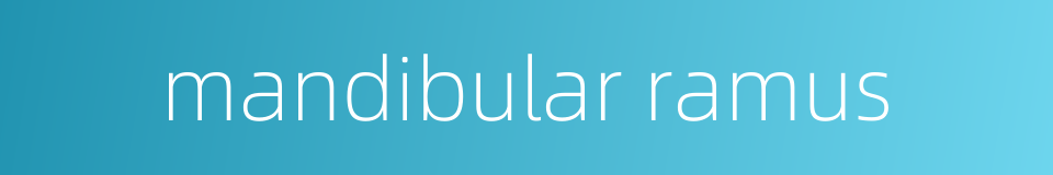 mandibular ramus的同义词