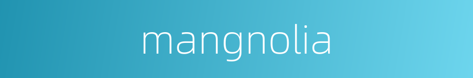mangnolia的同义词