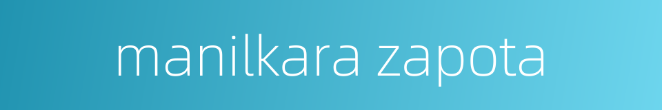 manilkara zapota的同义词