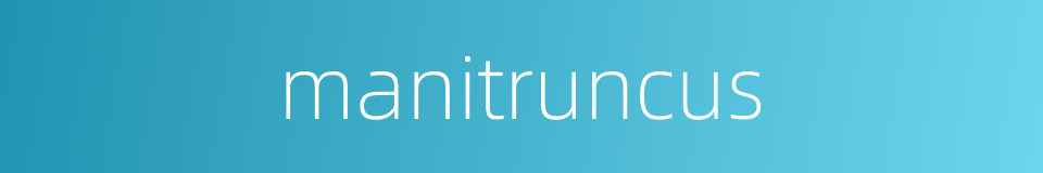 manitruncus的同义词