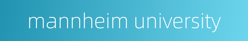 mannheim university的同义词