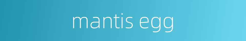 mantis egg的同义词