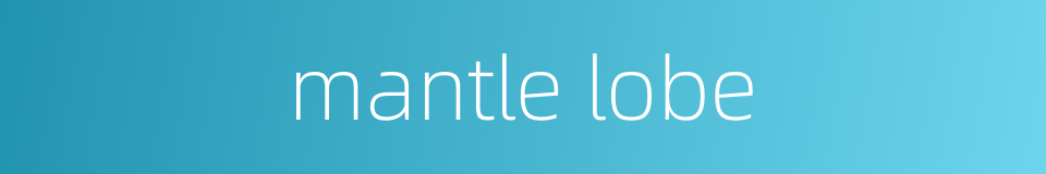 mantle lobe的同义词