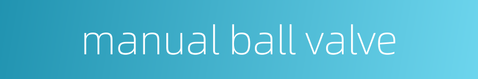 manual ball valve的同义词