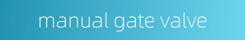manual gate valve的同义词