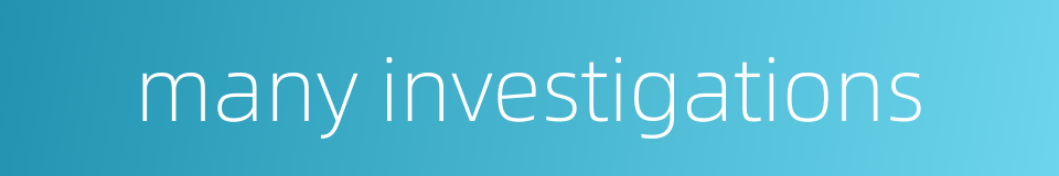 many investigations的同义词