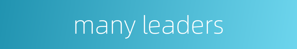 many leaders的同义词