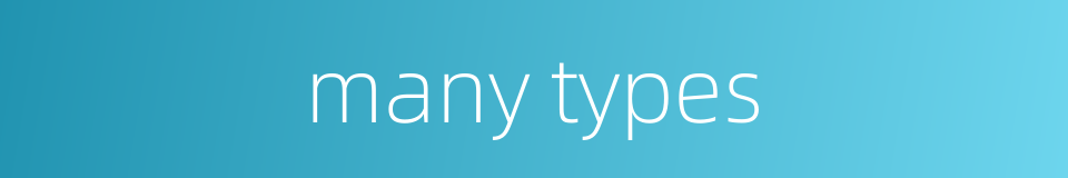 many types的同义词