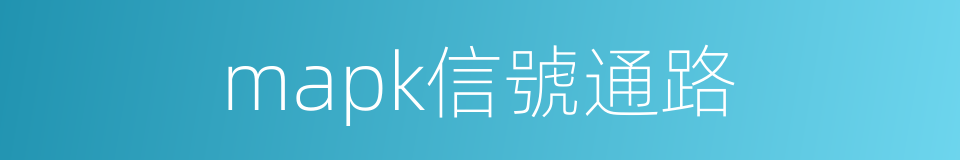 mapk信號通路的同義詞
