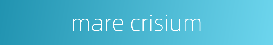 mare crisium的同义词