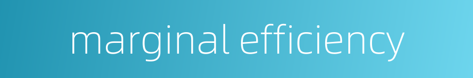 marginal efficiency的同义词