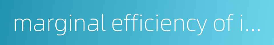 marginal efficiency of investment的同义词