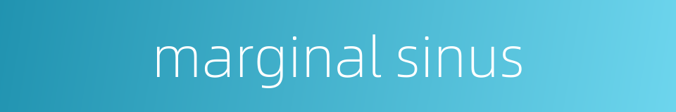 marginal sinus的同义词