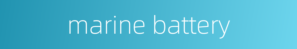 marine battery的同义词